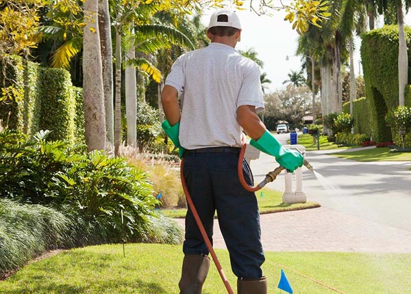 About Schodack Landing NY Pest Control